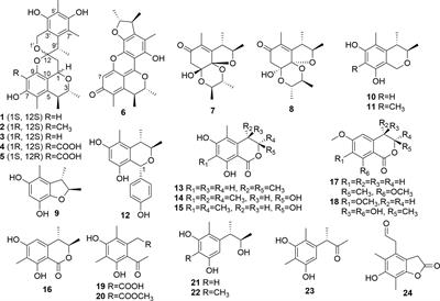 Citrinin Derivatives From Penicillium Citrinum Y34 That Inhibit α-Glucosidase and ATP-Citrate Lyase